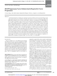 Bccipsuppresses Tumor Initiation but Is Required For