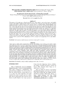 Microstructure of Quills in Sunda Porcupine Hystrix Javanica (F