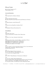 Mircea Cantor CV