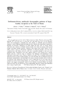 Settlement-Driven, Multiscale Demographic Patterns of Large Benthic Decapods in the Gulf of Maine
