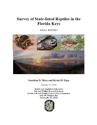 Survey of State-Listed Reptiles in the Florida Keys
