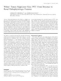 Wilms' Tumor Suppressor Gene WT1: from Structure to Renal