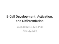 B-Cell Development, Activation, and Differentiation