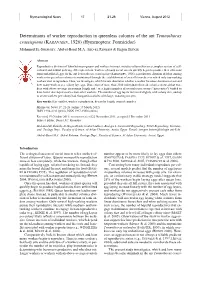 Determinants of Worker Reproduction in Queenless Colonies of the Ant Temnothorax Crassispinus (KARAVAIEV, 1926) (Hymenoptera: Formicidae)