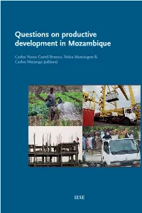 Questions on Productive Development in Mozambique
