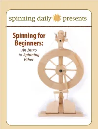 Spinning Daily Presents: Spinning for Beginners