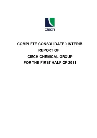 Pdf Consolidated Financial Statement