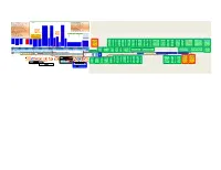 Chart No. 1 for the Study of Daniel Stephen F