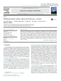 Membrane-Based Carbon Capture from Flue