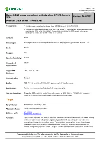 New PDF Document