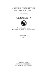 Open As a Single Document