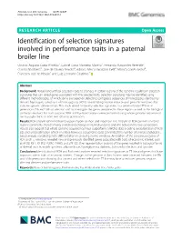 Identification of Selection Signatures Involved In