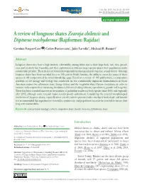 A Review of Longnose Skates Zearaja Chilensisand Dipturus Trachyderma (Rajiformes: Rajidae)