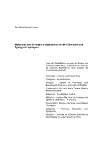 Molecular and Serological Approaches for the Detection and Typing of Leptospira