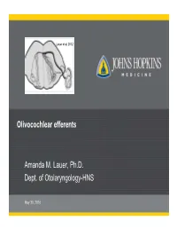 Olivocochlear Efferents