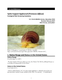Pomacea Diffusa) Ecological Risk Screening Summary