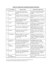 Specific Eye Conditions with Corresponding Adaptations/Considerations