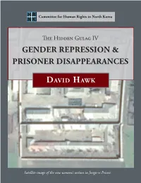 David Hawk, the Hidden Gulag IV