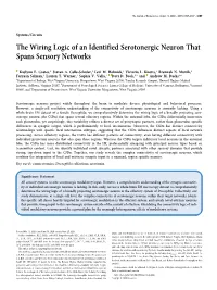 The Wiring Logic of an Identified Serotonergic Neuron That Spans Sensory Networks