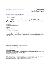 Impact of Extremely Low-Frequency Magnetic Fields on Human Postural Control