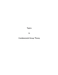 Topics in Combinatorial Group Theory