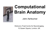 Computational Brain Anatomy