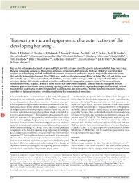 Transcriptomic and Epigenomic Characterization of the Developing Bat Wing