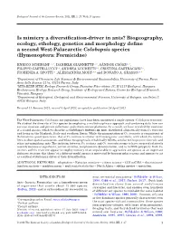 Is Mimicry a Diversification-Driver in Ants? Biogeography, Ecology, Ethology, Genetics and Morphology Define a Second West-Palae