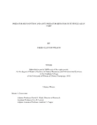 Predator Recognition and Anti-Predator Behavior in Juvenile Asian Carp