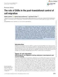 The Role of Dubs in the Post-Translational Control of Cell Migration