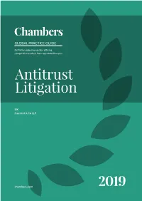 Antitrust Litigation Working Group