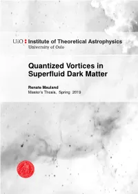 Quantized Vortices in Superfluid Dark Matter