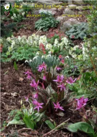 Srgc Bulb Log Diary