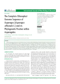 The Complete Chloroplast Genome Sequence of Asparagus (Asparagus Officinalis L.) and Its Phy- Logenetic Positon Within Asparagales