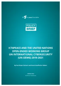 Un Oewg) 2019-2021