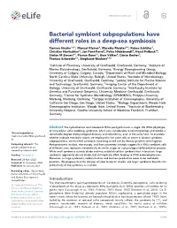 Bacterial Symbiont Subpopulations Have Different Roles in a Deep-Sea