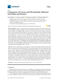Comparison of Carcass and Meat Quality Obtained from Mule and Donkey