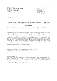 Death by “Snow”! a Fatal Forensic Case of Cocaine Leakage in a “Drug Mule” on Postmortem Computed and Magnetic Resonance Tomography Compared with Autopsy