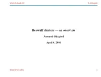 Beowulf Clusters — an Overview