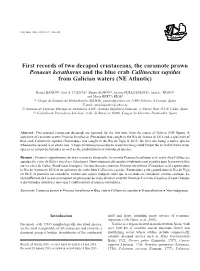 First Records of Two Decapod Crustaceans, the Caramote Prawn Penaeus Kerathurus and the Blue Crab Callinectes Sapidus from Galician Waters (NE Atlantic)