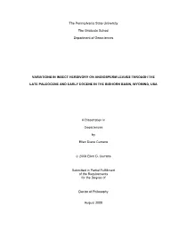Open Thesis Currano Final.Pdf
