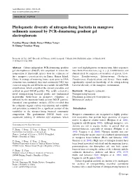 Phylogenetic Diversity of Nitrogen-Fixing Bacteria In