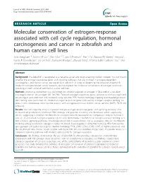 Molecular Conservation of Estrogen-Response Associated with Cell Cycle Regulation, Hormonal Carcinogenesis and Cancer in Zebrafi
