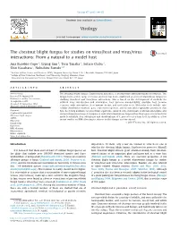 The Chestnut Blight Fungus for Studies on Virus/Host and Virus/Virus Interactions: from a Natural to a Model Host