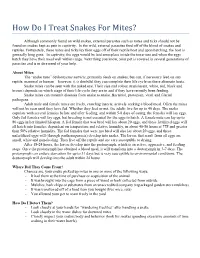 Reptile Mite Treatment Guide