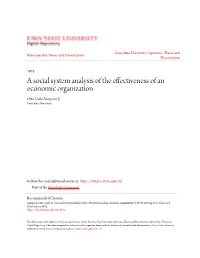 A Social System Analysis of the Effectiveness of an Economic Organization Otto Carlo Sampson Jr