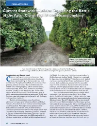 Current Statewide Updates Regarding the Battle of the Asian Citrus Psyllid and Huanglongbing