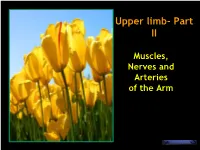 Upper Limb- Part II