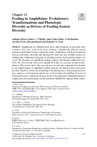 Feeding in Amphibians: Evolutionary Transformations and Phenotypic Diversity As Drivers of Feeding System Diversity