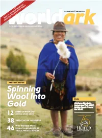 Spinning Wool Into Gold